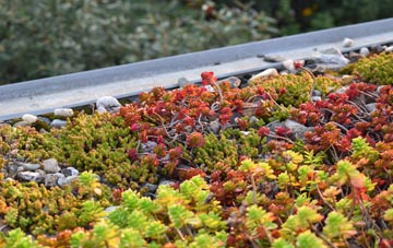 the cost of Yealand Storrs green roof installation