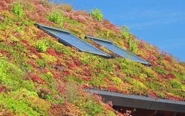 Yealand Storrs living roof systems
