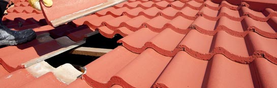 compare Yealand Storrs roof repair quotes